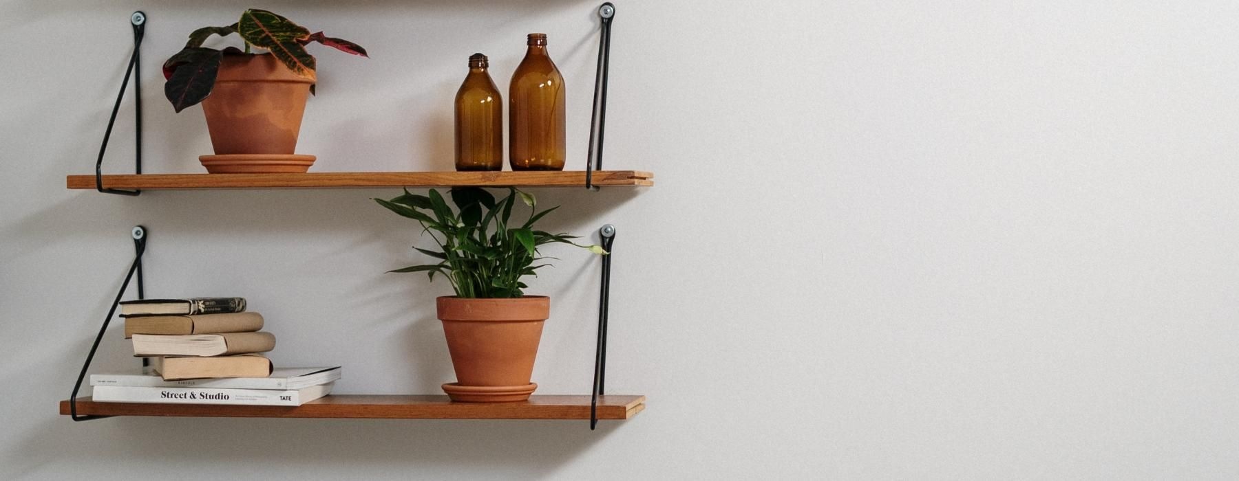 a shelf with plants and potted plants on it